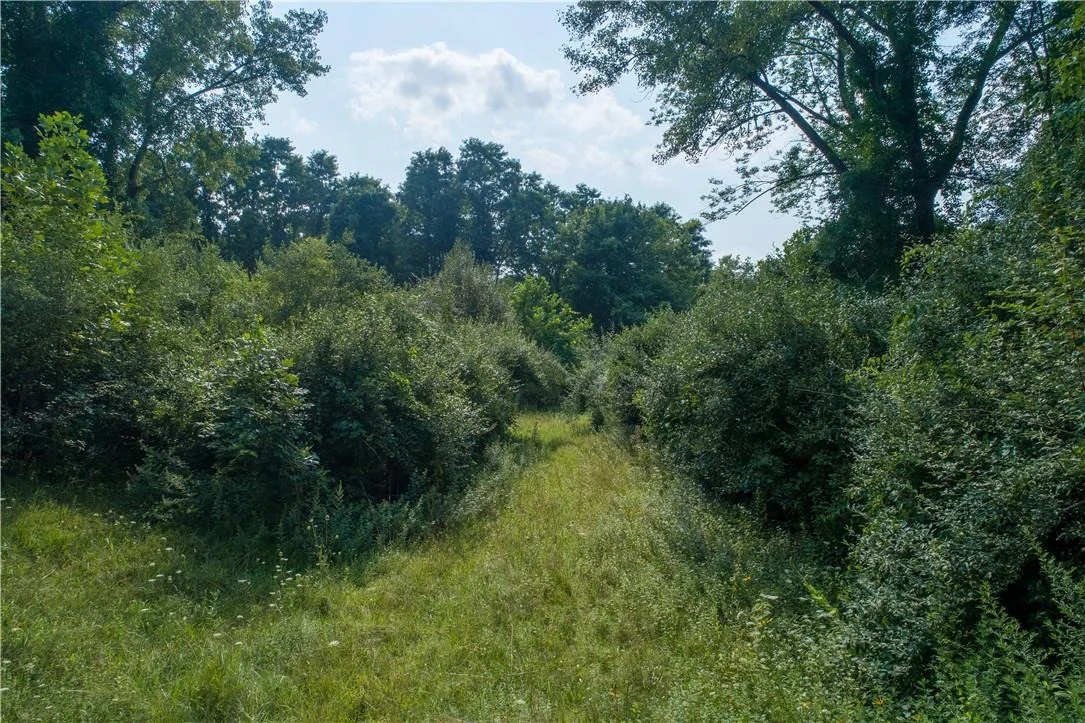 Photo of 8 Ravine Road