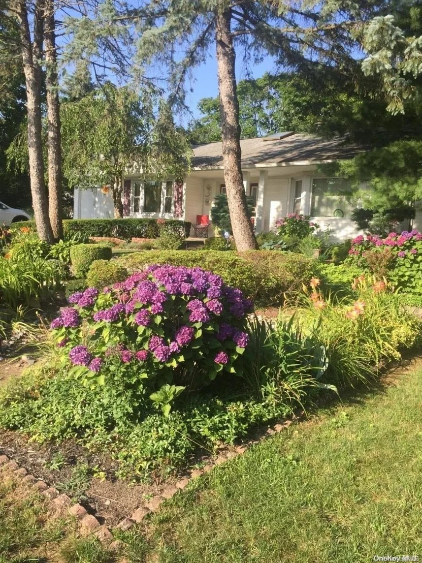 Photo of 46 Dorchester Road
