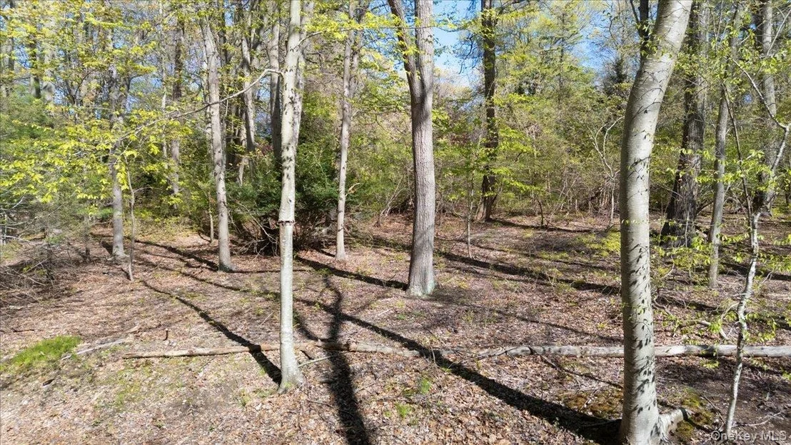 Photo of 7 Spring Hill