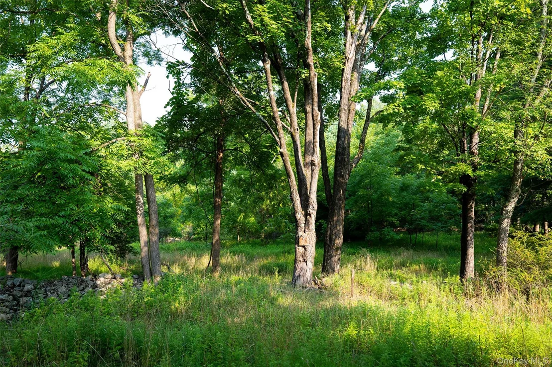 Photo of 55 Hill Road