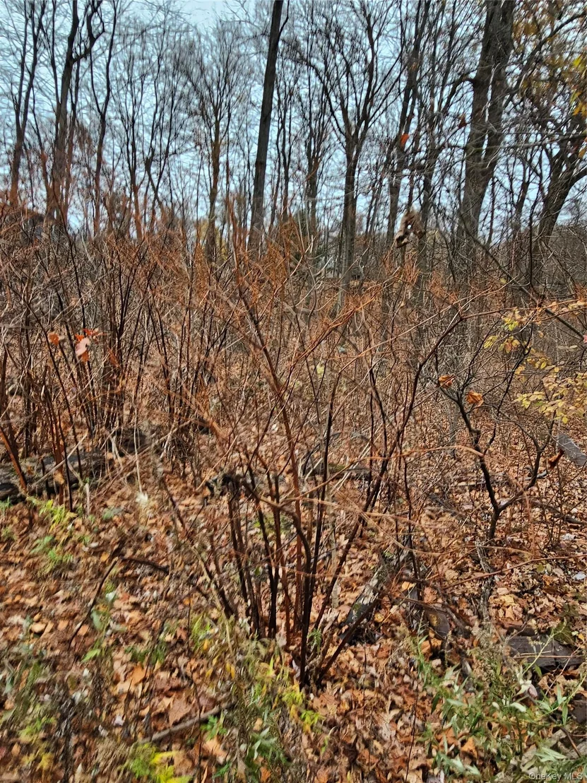 Photo of 73 Sylvan Trail