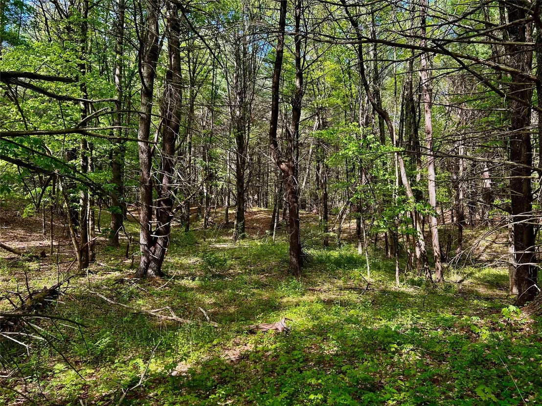 Photo of 844 County Route 27