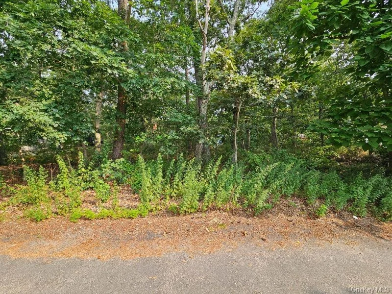 Photo of 51 Shore Road