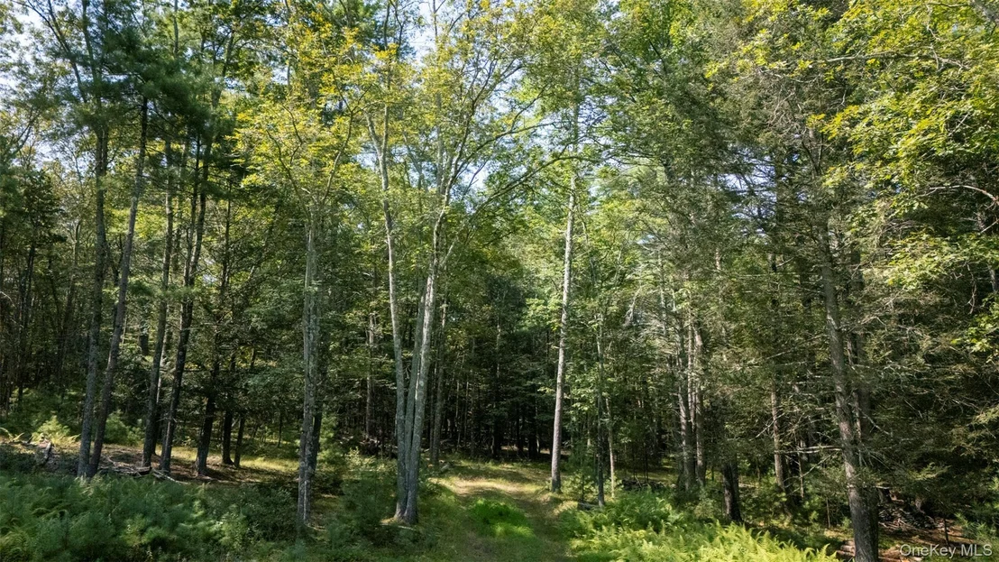 Photo of 327 Phillips Road