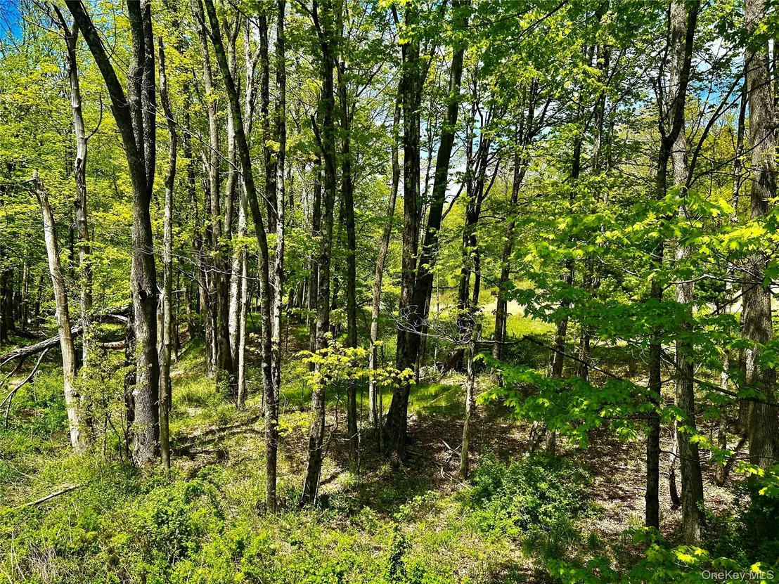 Photo of 4 West Hill Road