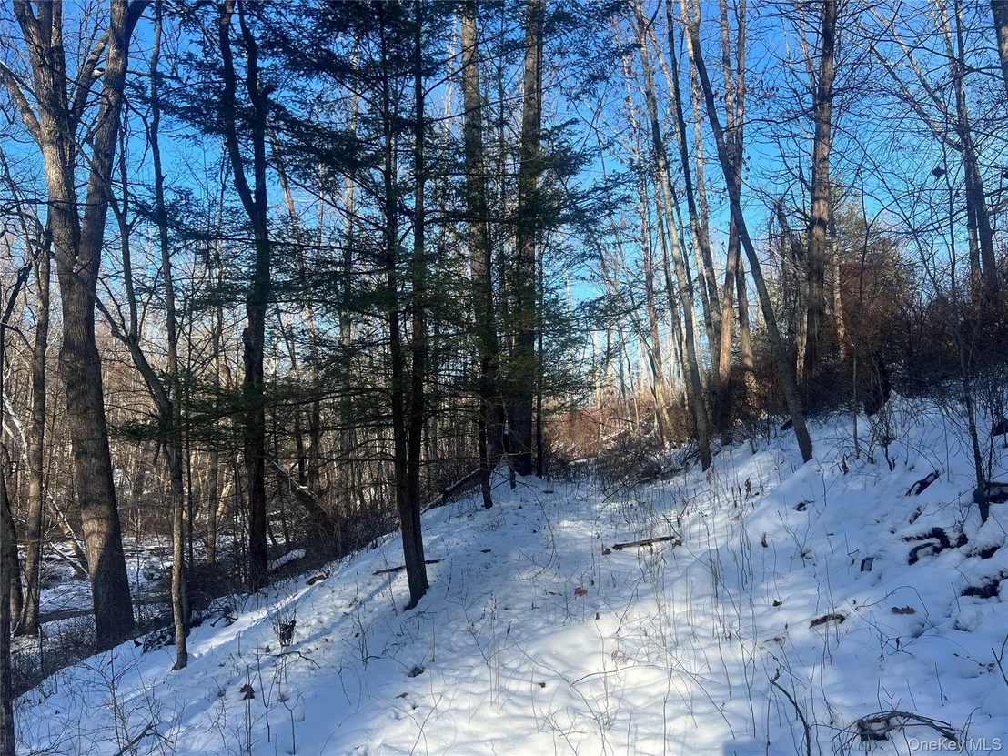 Photo of 26 MossyBrook Road