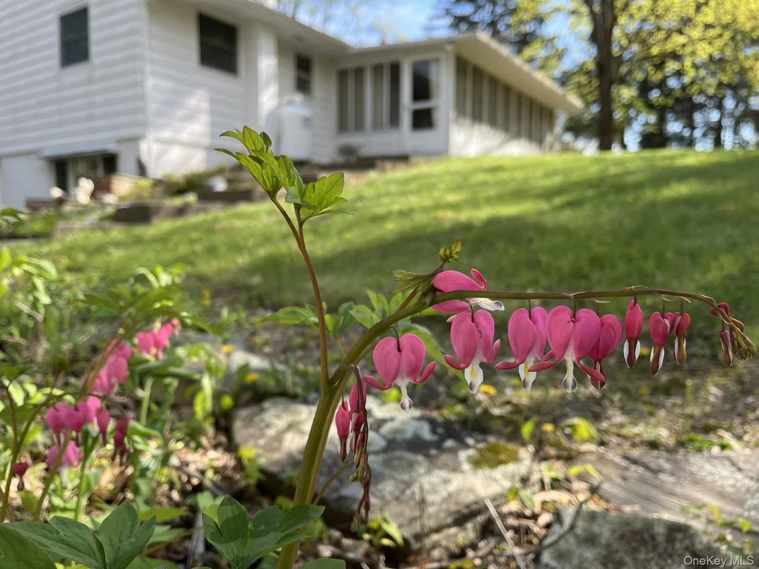 Photo of 35 Hapeman Hill Road