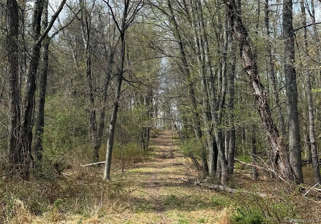 Photo of 383 Connors Road