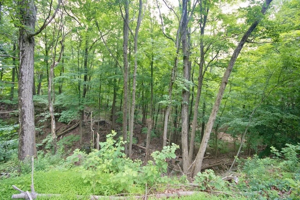 Photo of 107 Lane Gate Road