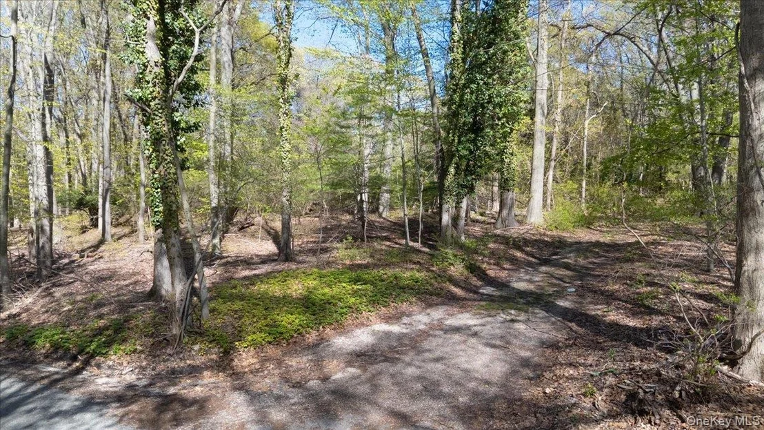 Photo of 7 Spring Hill