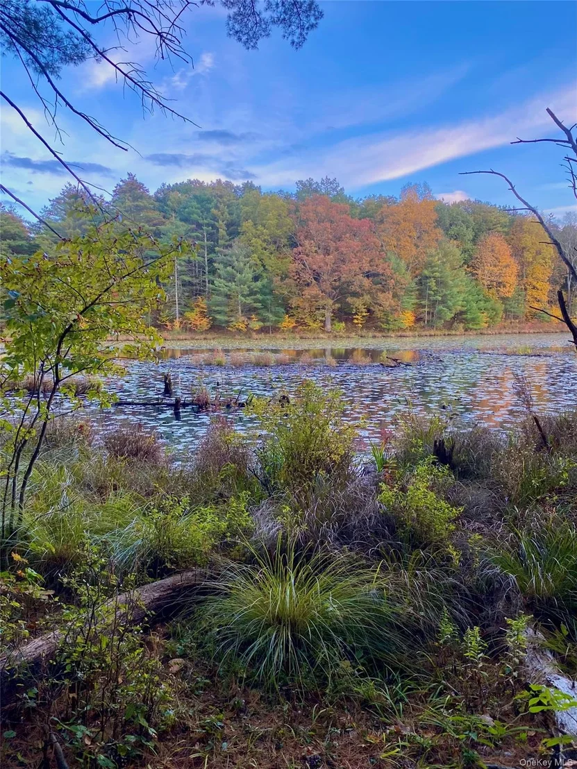 Photo of 177 Webber Road