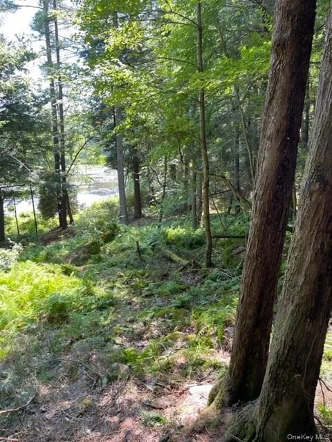 Photo of Lot 92 Mathias Weiden Drive