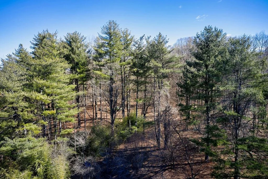 Photo of 155 Ketchamtown Road