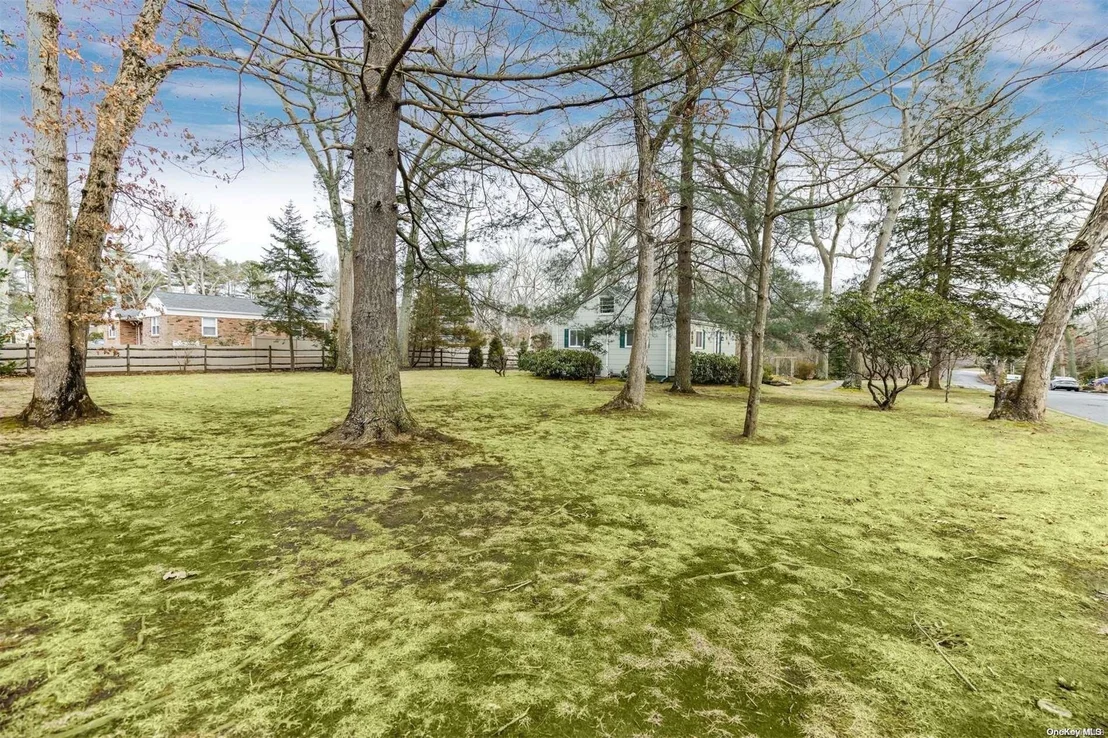 Photo of 55 Brook Lane