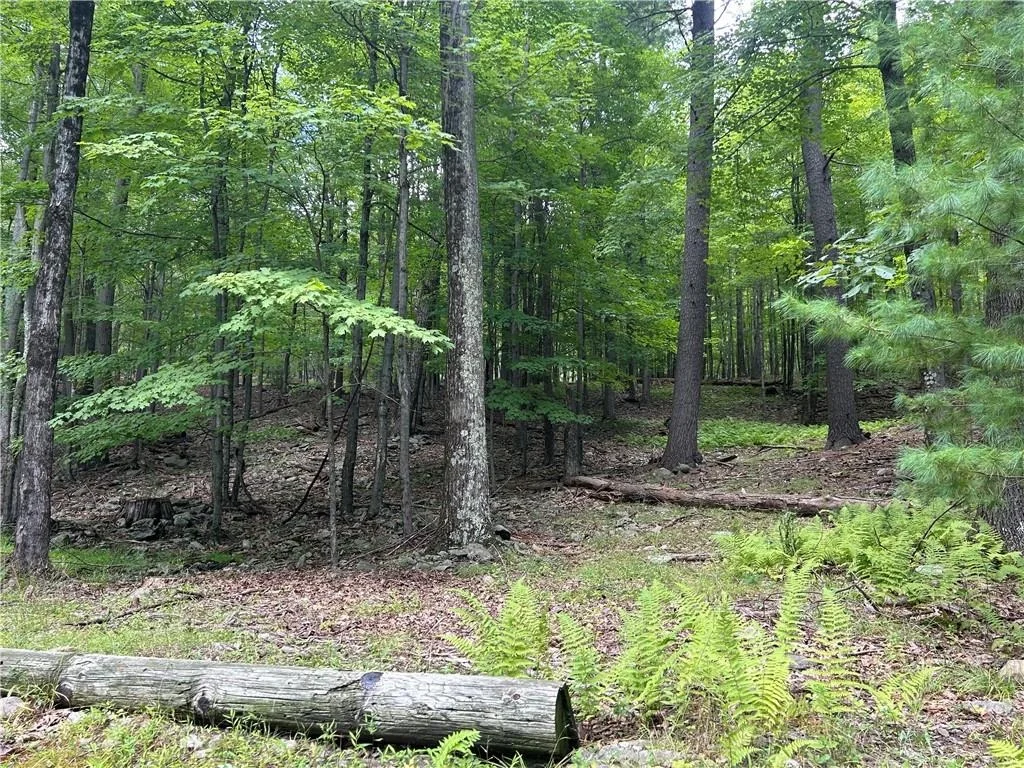 Photo of 42 Mcguffey Road
