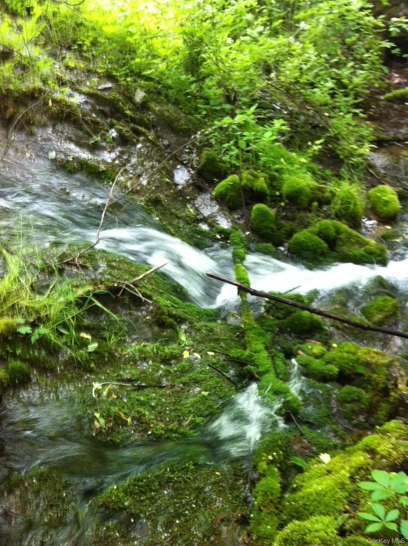 Photo of 00 Spook Rock Road