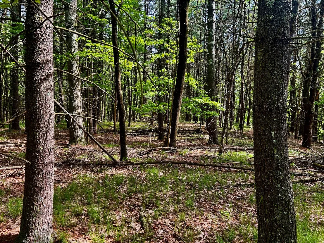 Photo of 844 County Route 27