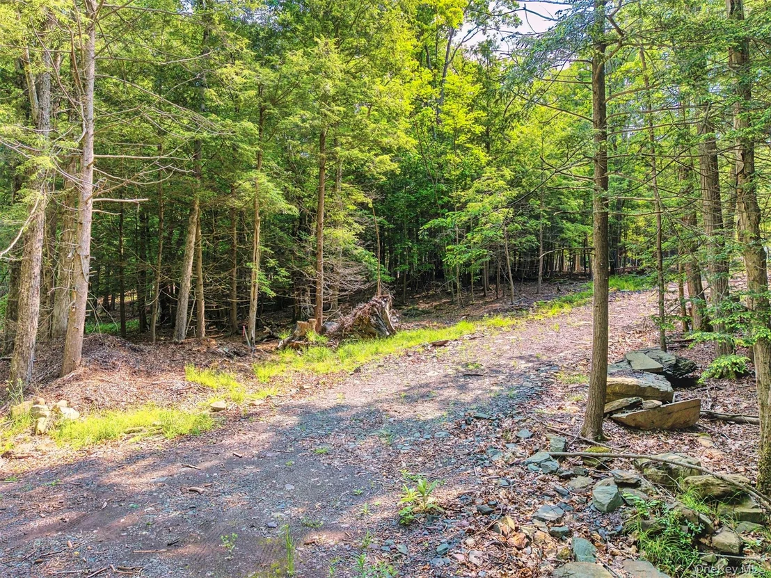 Photo of TBD Boulder Brook Lot 11 Road