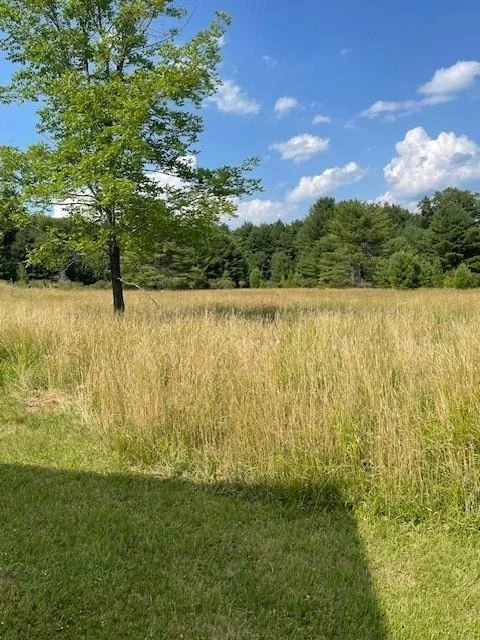 Photo of 88 Eldred Yulan Road