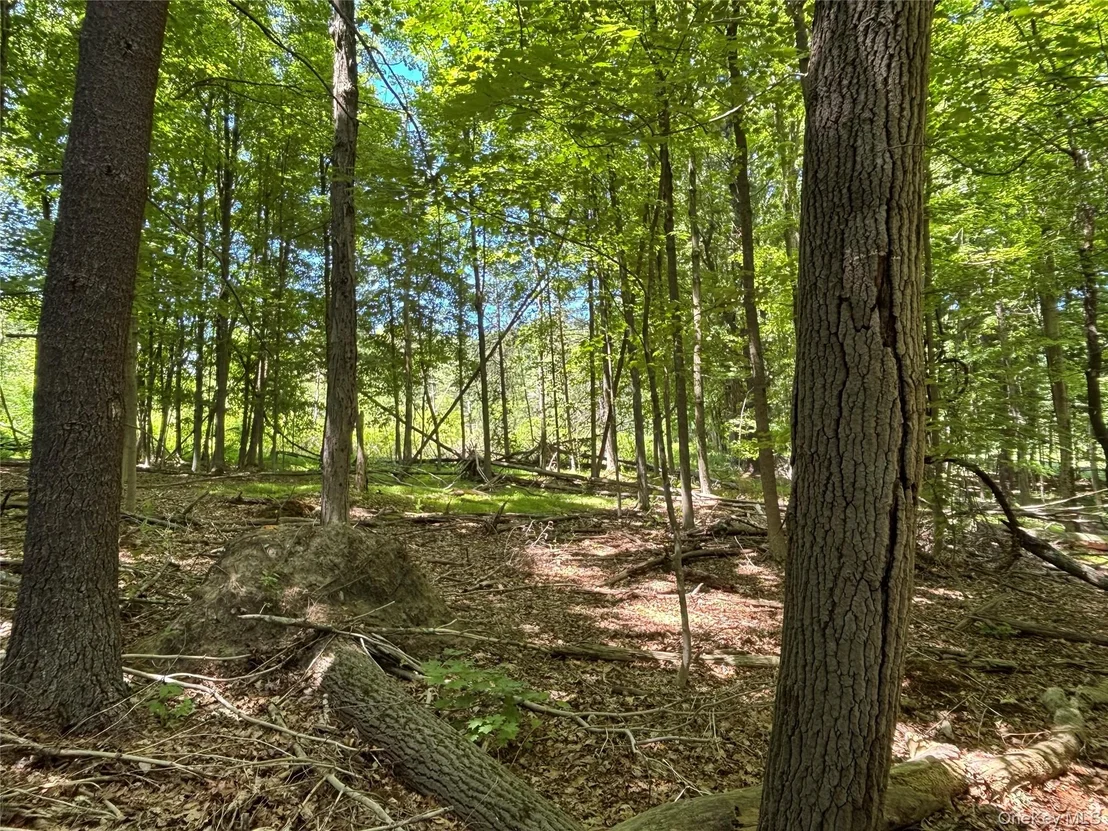Photo of 0 Smith Road