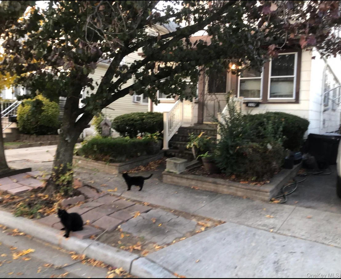 Photo of 119 Pilgrim Place