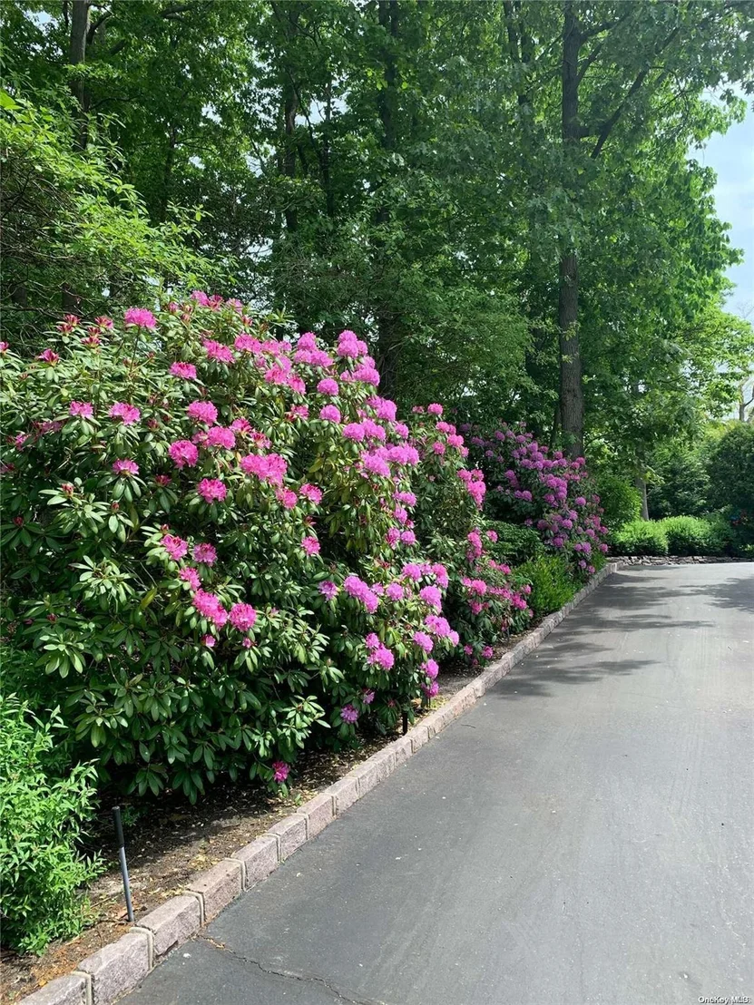 Photo of 79 Mud Road