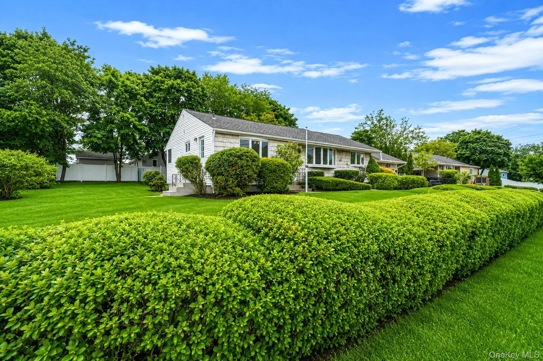 Photo of 40 Cypress Street