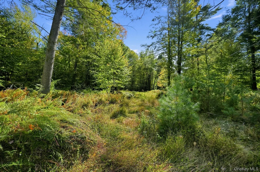 Photo of 118 Weiser Road
