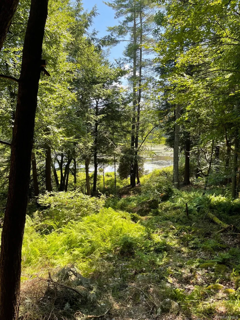 Photo of Lot 92 Mathias Weiden Drive