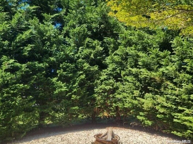 Photo of 1 Swan View Court