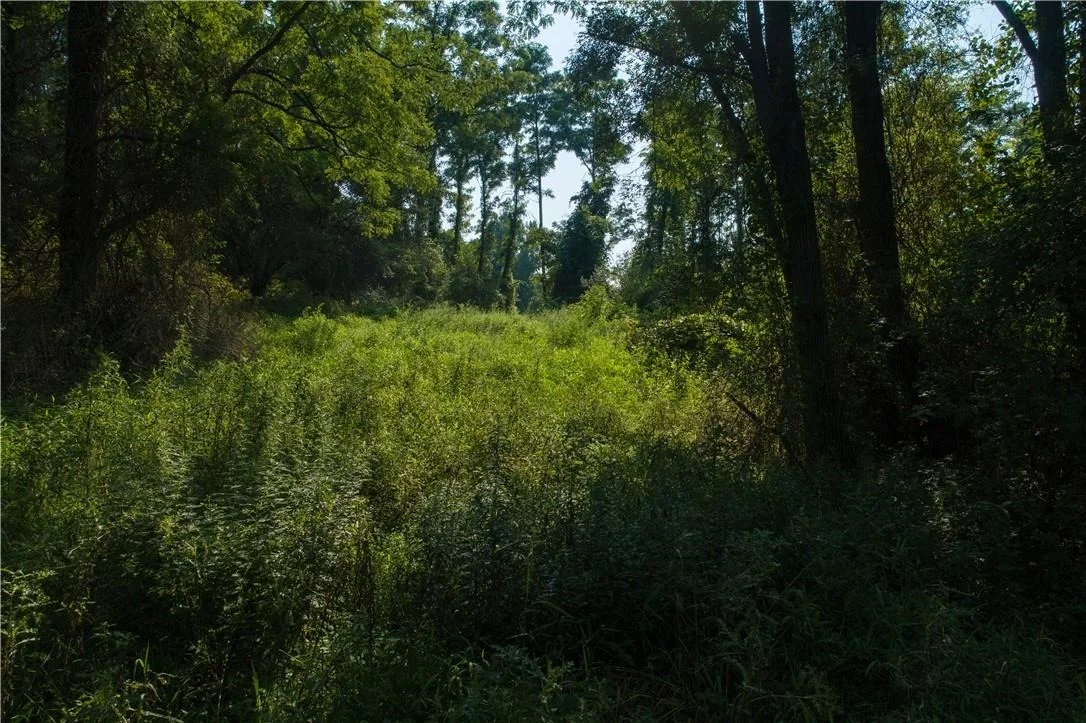 Photo of 8 Ravine Road