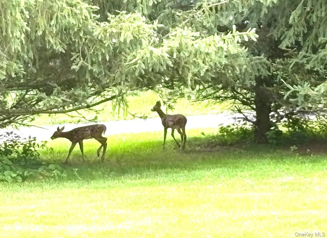 Photo of 29 Deer Brook Drive