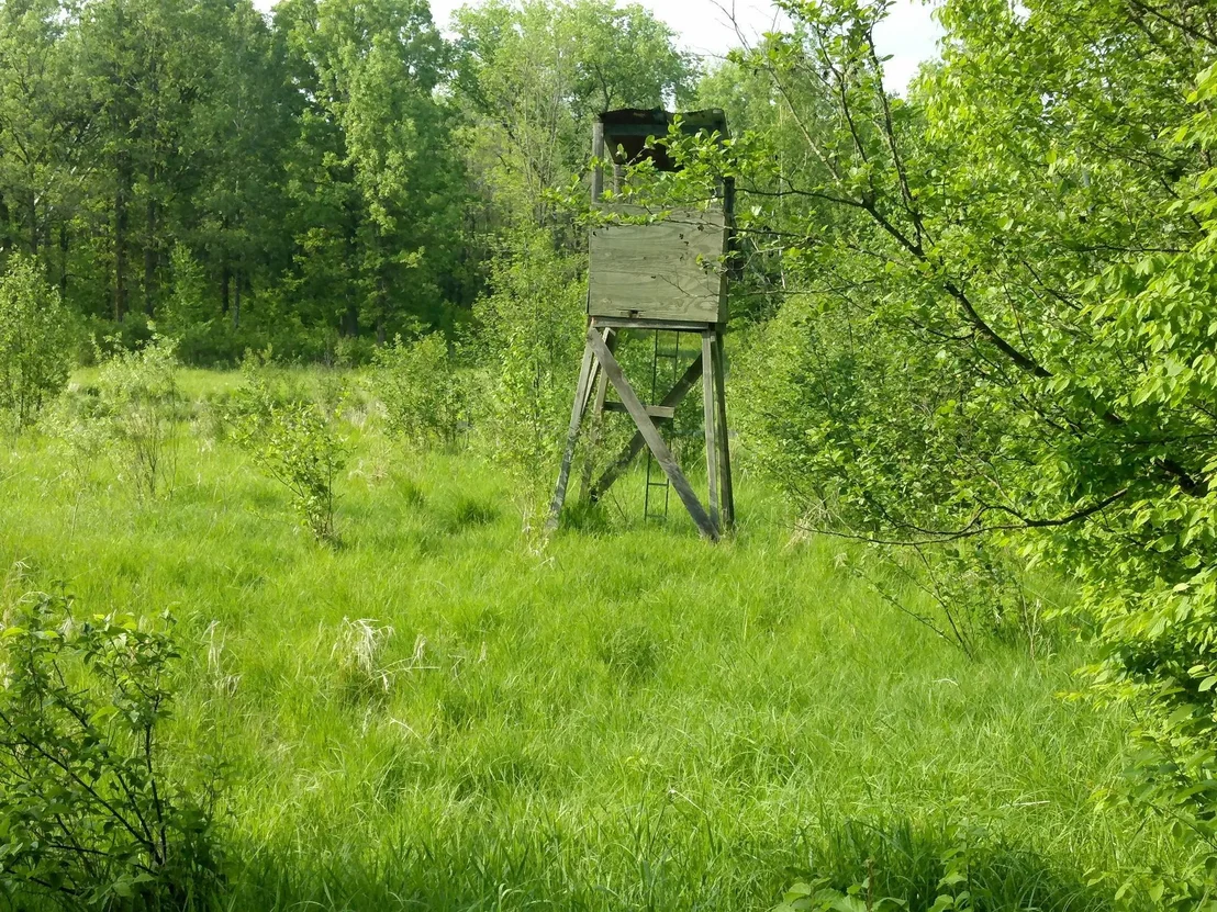 Photo of 10005 Rice Road