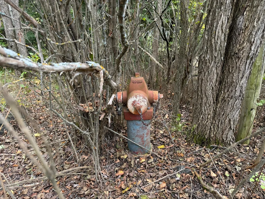 Photo of 38812 Outback Drive
