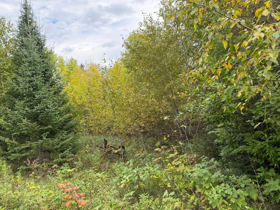 Photo of 38812 Outback Drive