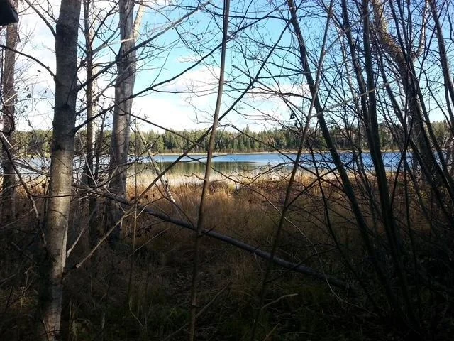 Photo of 38812 Outback Drive