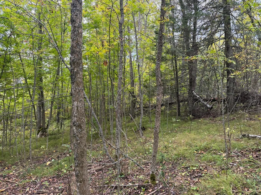 Photo of 38812 Outback Drive