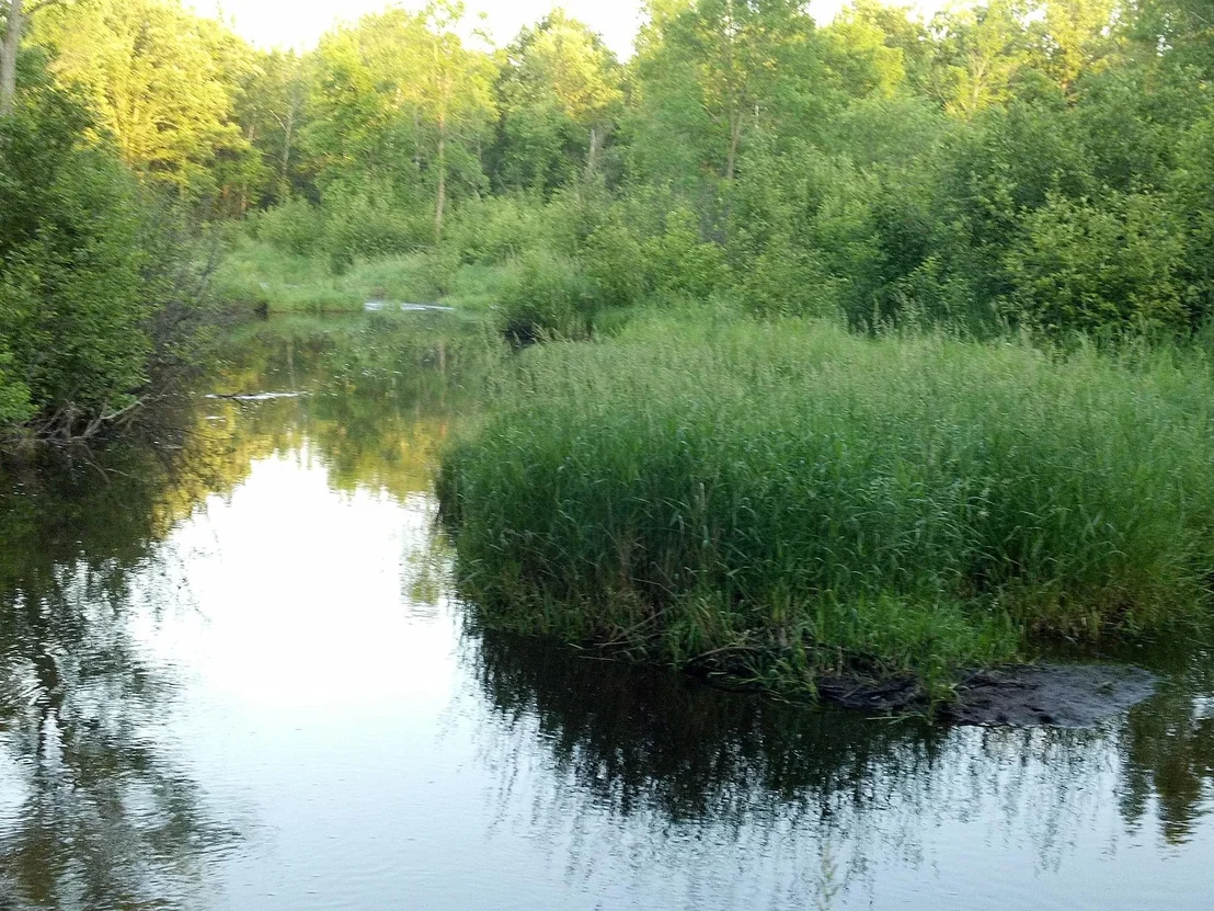 Photo of 10005 Rice Road