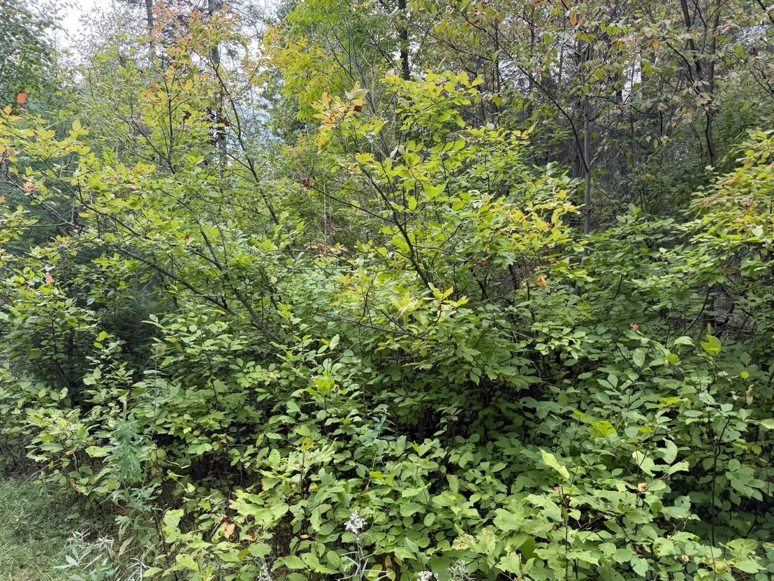Photo of 38812 Outback Drive