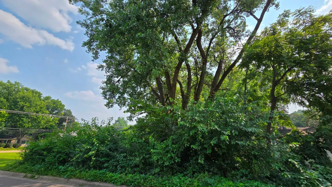 Photo of 3949 Douglas Drive N