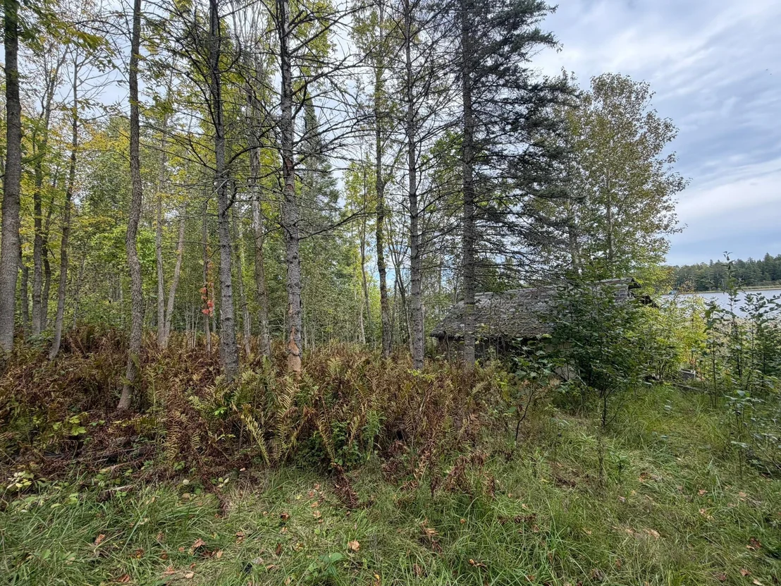 Photo of 38812 Outback Drive