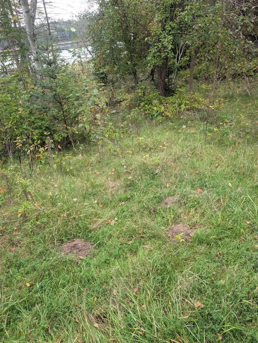 Photo of 38812 Outback Drive