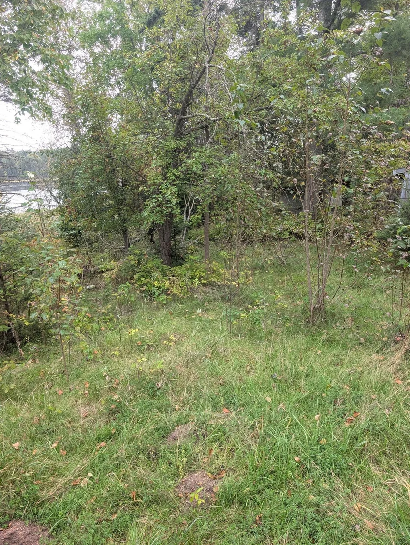 Photo of 38812 Outback Drive