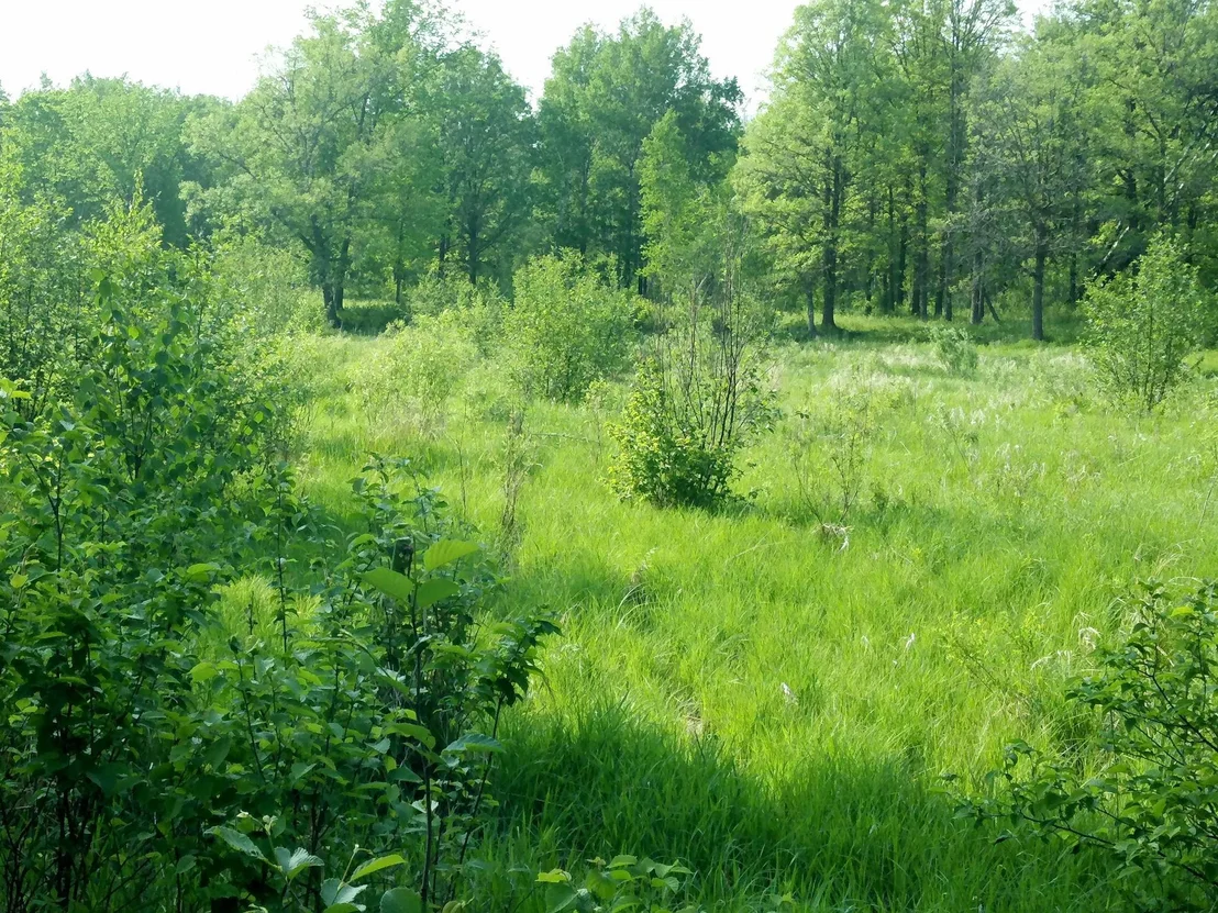 Photo of 10005 Rice Road