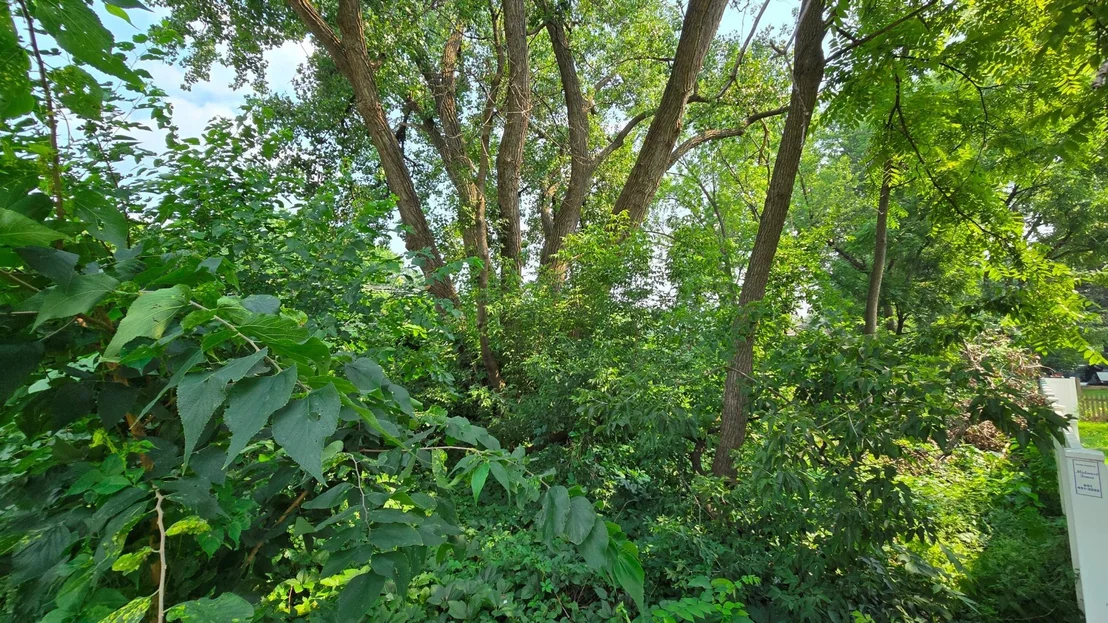 Photo of 3949 Douglas Drive N