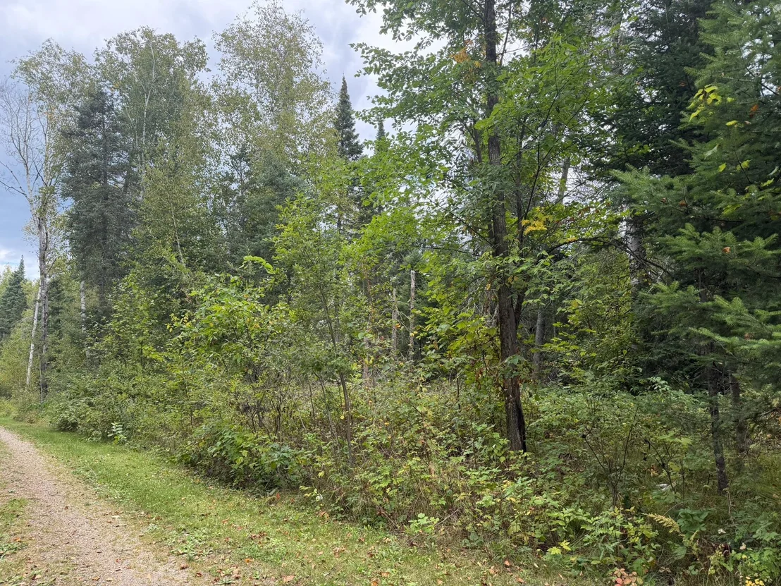 Photo of 38812 Outback Drive