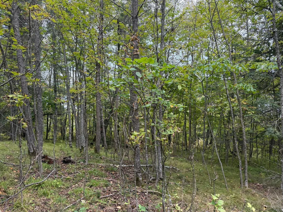 Photo of 38812 Outback Drive