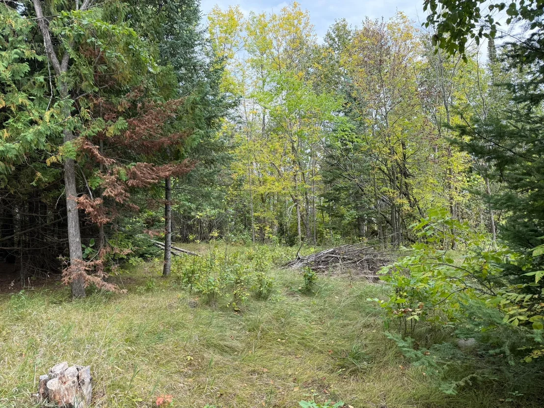 Photo of 38812 Outback Drive