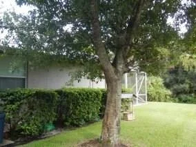 Photo of 581 SE Southwood Trail SE