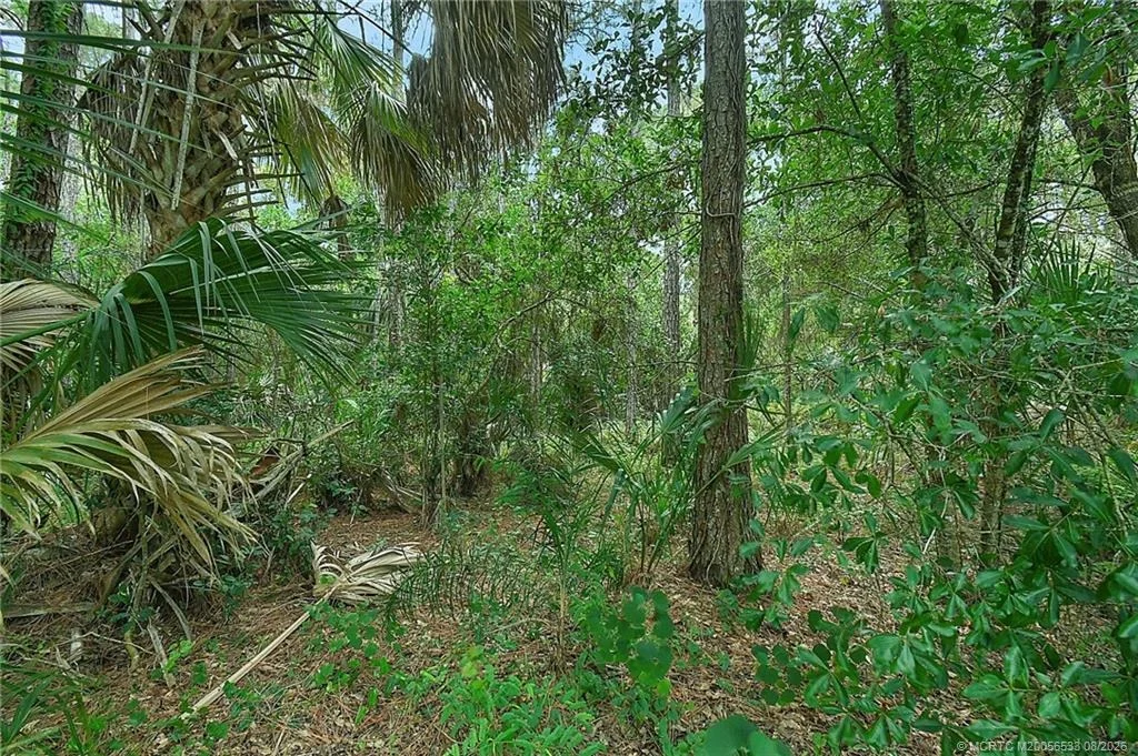Photo of 768 SW Balmoral Trace